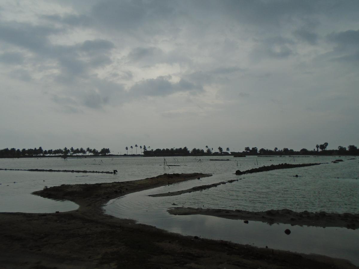 Kite Bay Villa Kalpitiya Zewnętrze zdjęcie