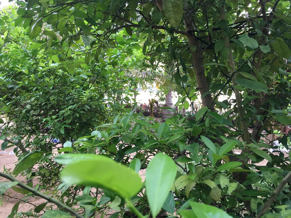 Kite Bay Villa Kalpitiya Zewnętrze zdjęcie